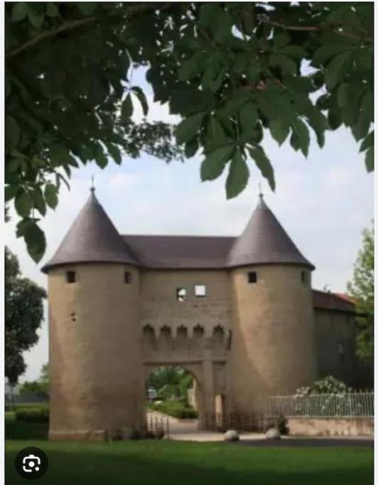 Appartement 90 M2 Vic-sur-Seille Exterior foto